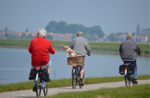 Three seniors and a dog on bikes