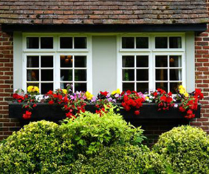 A Lovely and Friendly Home with Flowers