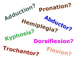 Medical terms glossary image