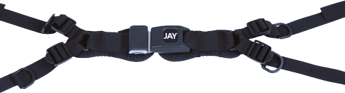 Jay 4 Point Seat Belt